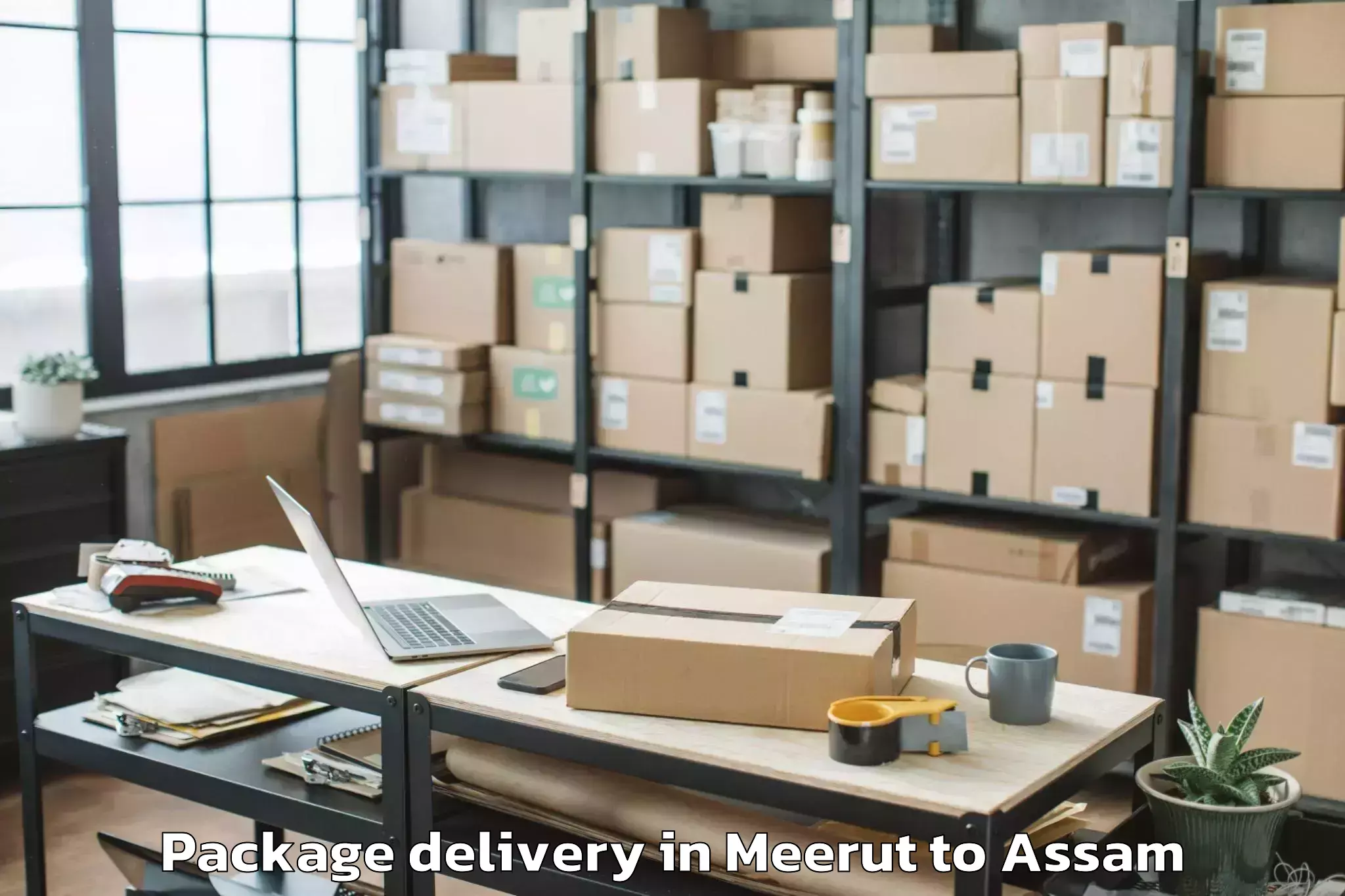 Affordable Meerut to Mikirbheta Package Delivery